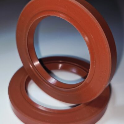 Gufero 10x19x7 si